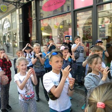 Wyświetl org. rozmiar