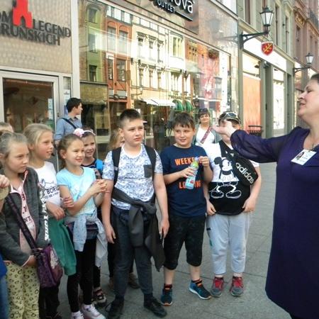 Wyświetl org. rozmiar