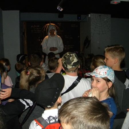 Wyświetl org. rozmiar