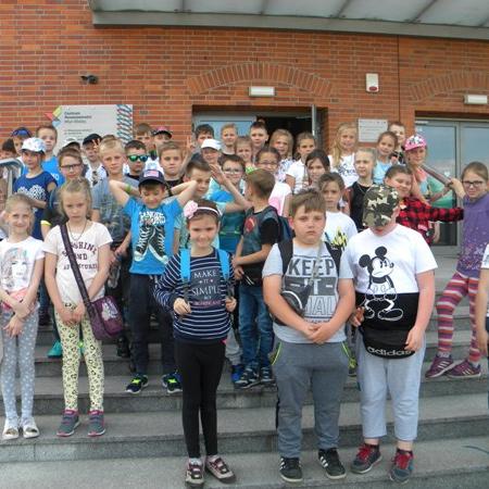 Wyświetl org. rozmiar