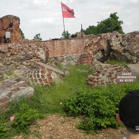 Wyświetl org. rozmiar