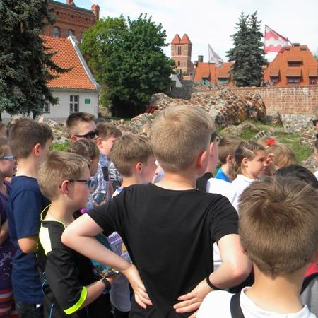 Wyświetl org. rozmiar