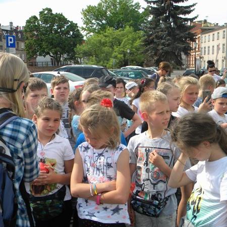 Wyświetl org. rozmiar