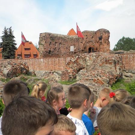Wyświetl org. rozmiar