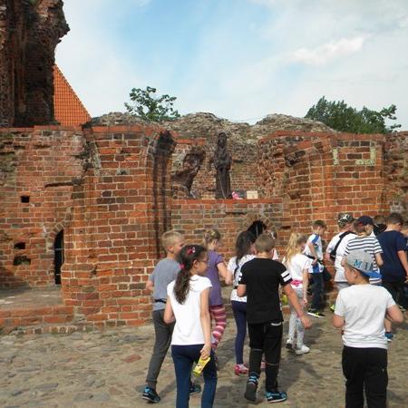 Wyświetl org. rozmiar