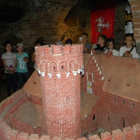 Wyświetl org. rozmiar