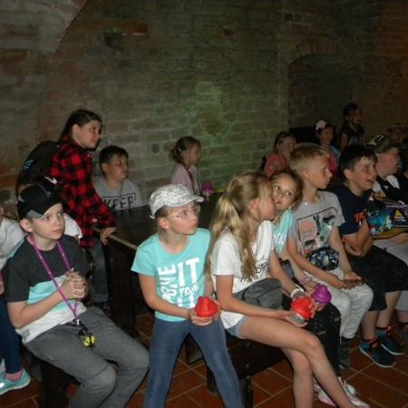 Wyświetl org. rozmiar
