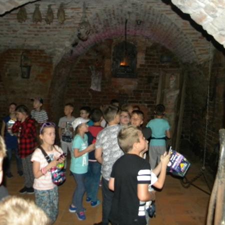 Wyświetl org. rozmiar