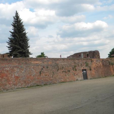 Wyświetl org. rozmiar