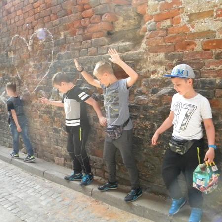 Wyświetl org. rozmiar