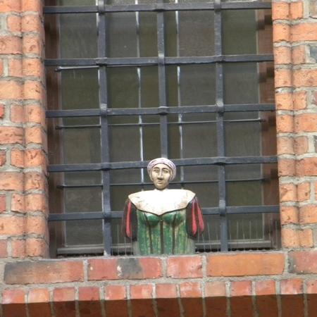Wyświetl org. rozmiar