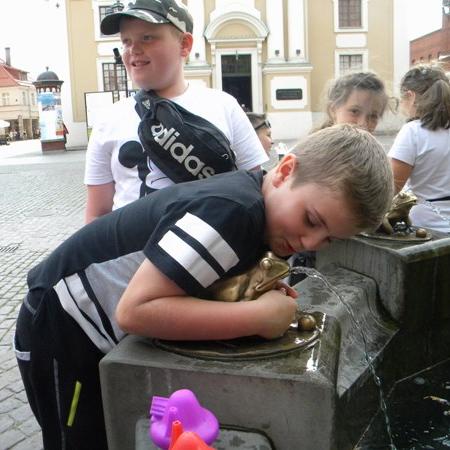 Wyświetl org. rozmiar