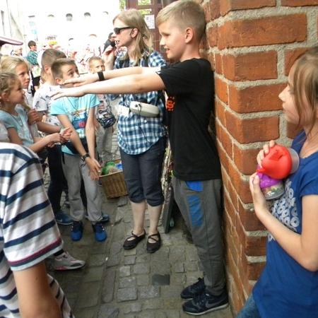 Wyświetl org. rozmiar