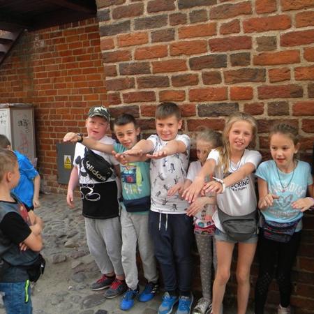 Wyświetl org. rozmiar
