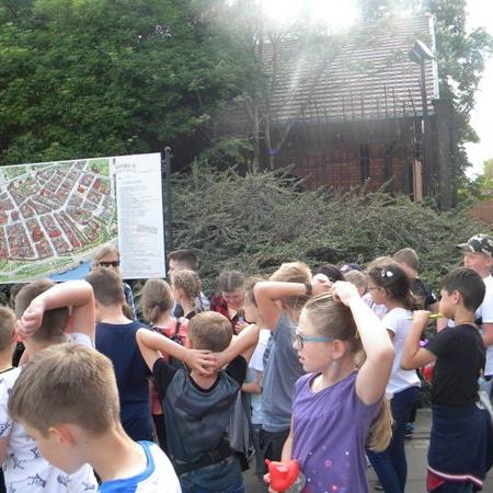 Wyświetl org. rozmiar