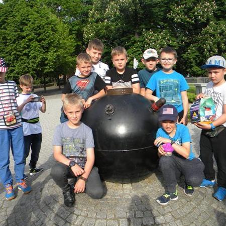 Wyświetl org. rozmiar